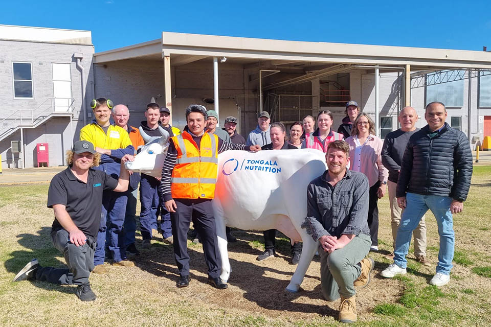 Group of people standing around a cow branded with Tongala Nutrition