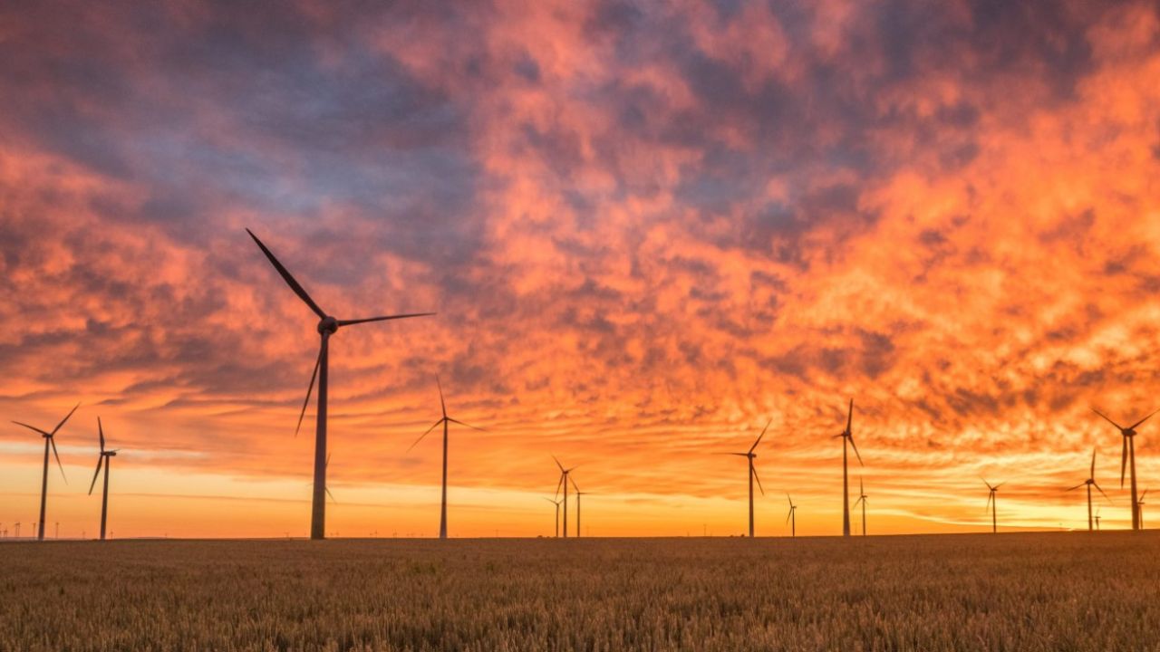 Multiple wind generators of a wind farm stand in a field with an orange sky at sunset