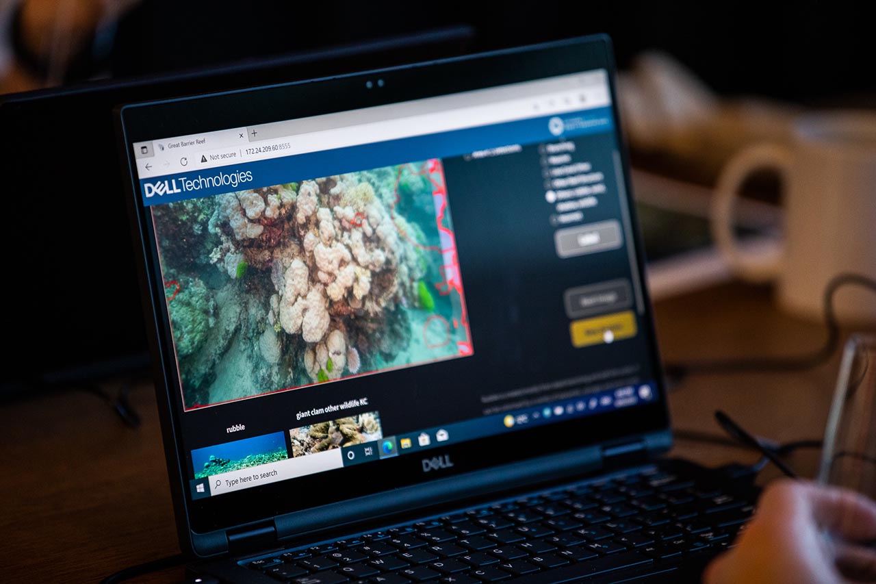 Dell laptop with screen displaying image of coral