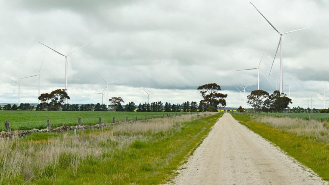 A country dirt road runs through grassland that has multiple wind generators positioned in the fields. Credit: GPWF