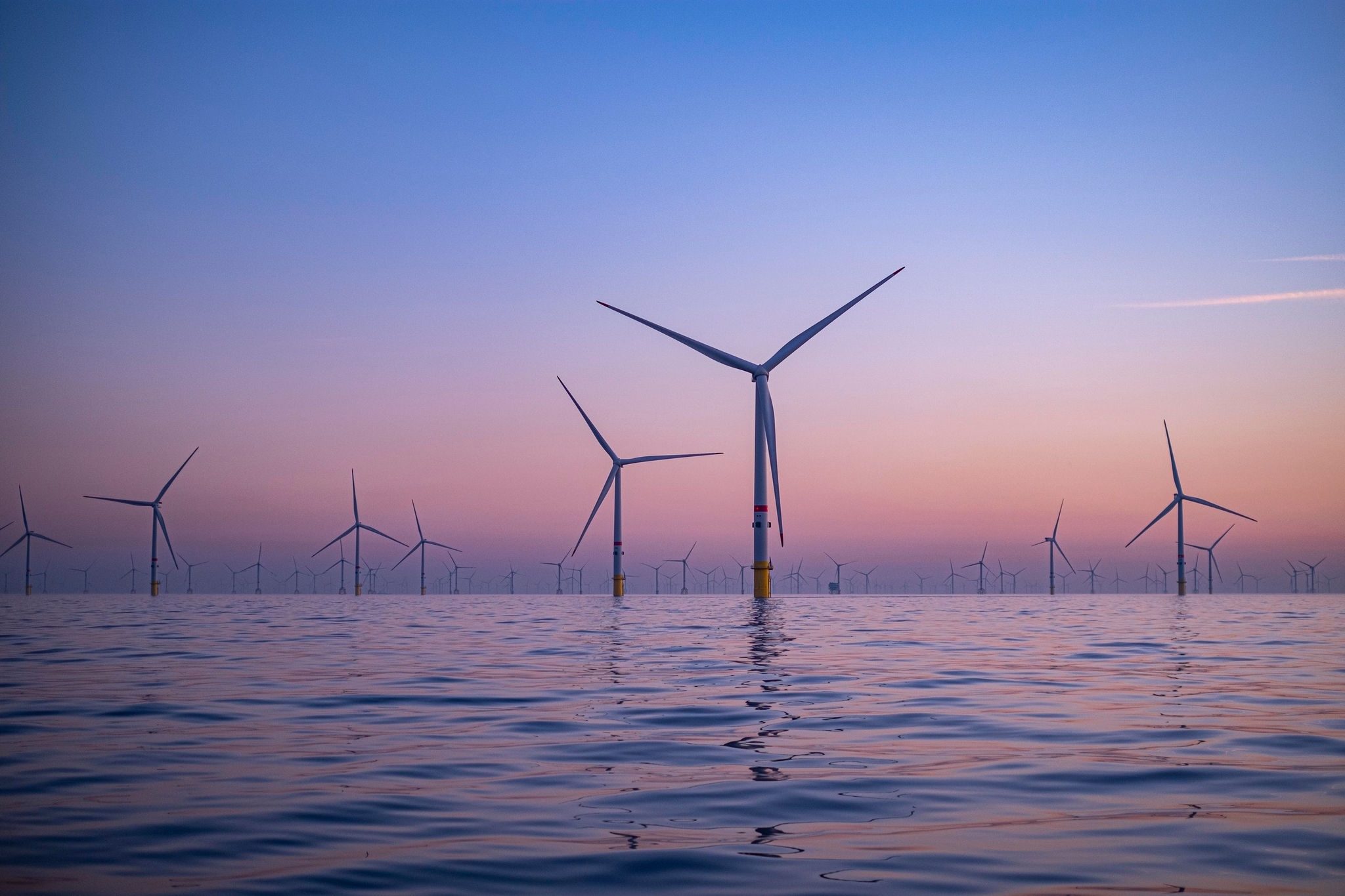 Example of an offshore wind farm near Knokke, at sunrise, Belgium