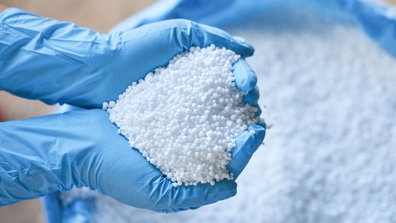 A pair of hands wearing blue industrial gloves holds a handful of hundreds of tiny, white balls of urea