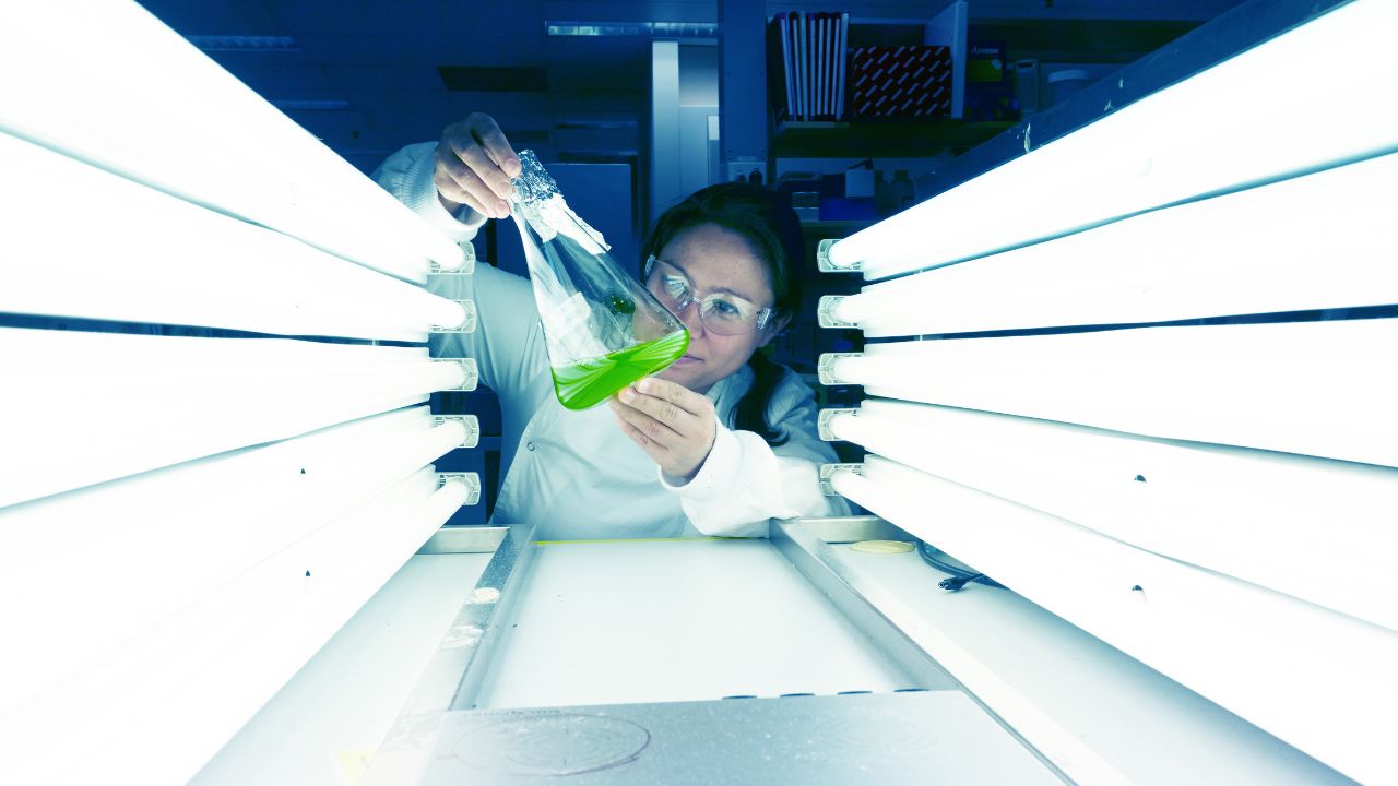 A female biotechnology researcher inspects a green liquid in a glass flask using light
