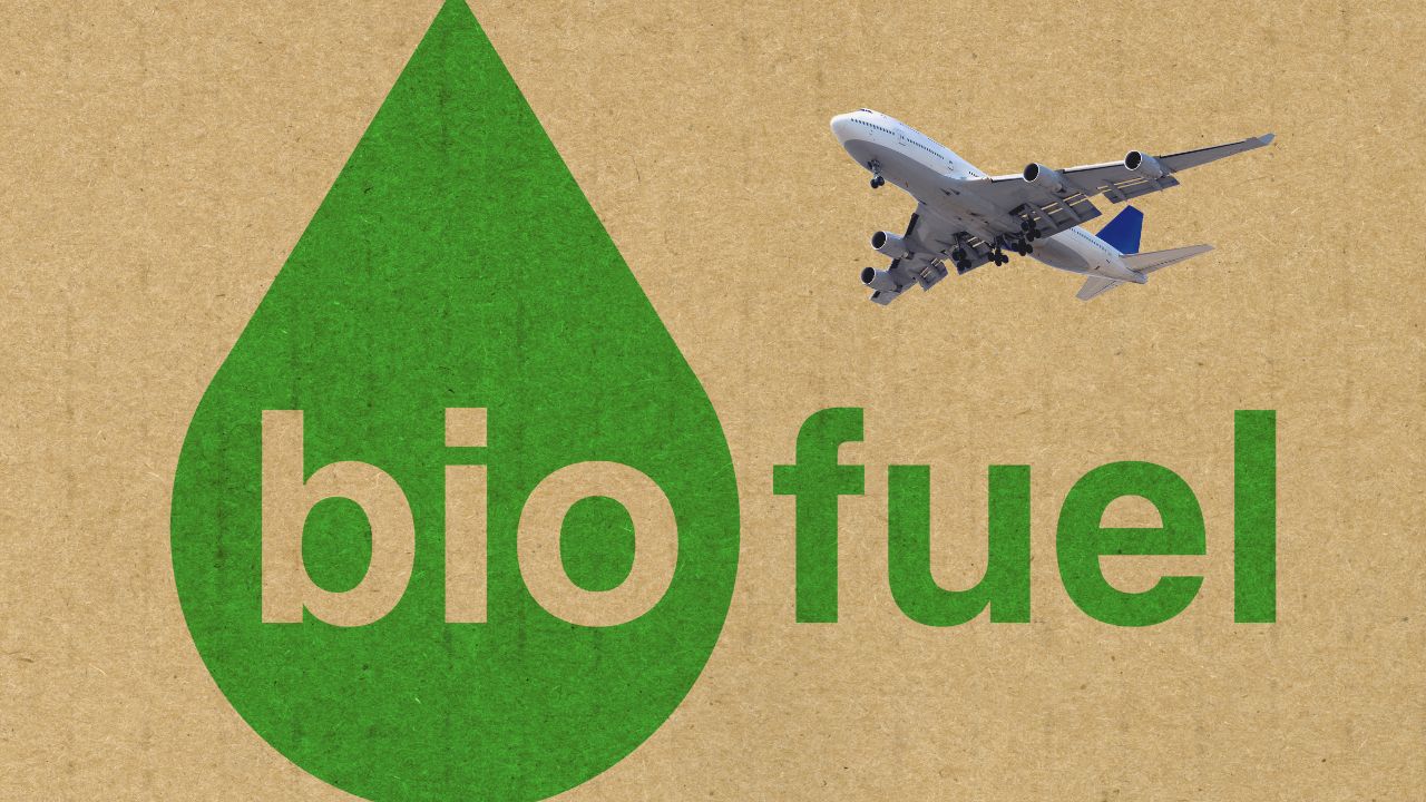 A biofuel liquid drop graphic in green with a passenger jet aircraft next to it