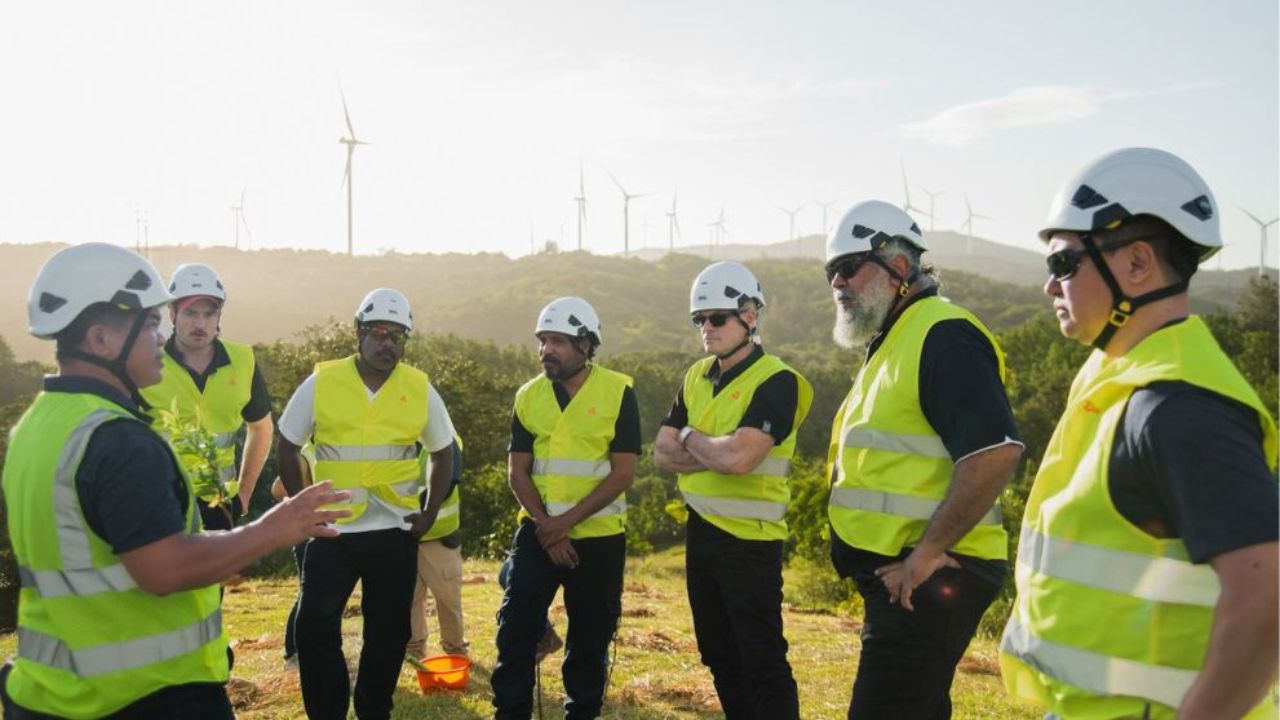 A group of men wearing yellow high visibility vests prepare to plant trees with a wind farm in the background